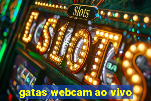 gatas webcam ao vivo